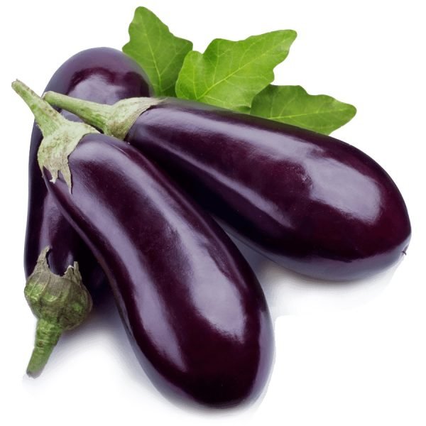 Aubergine