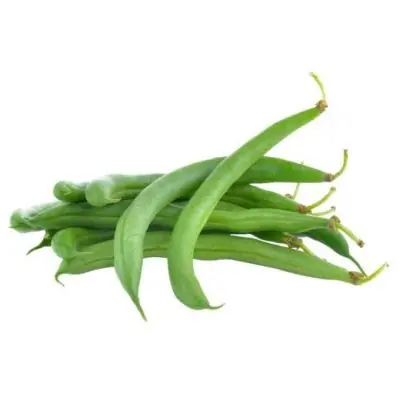 Haricots verts