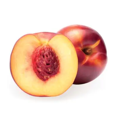 nectarine