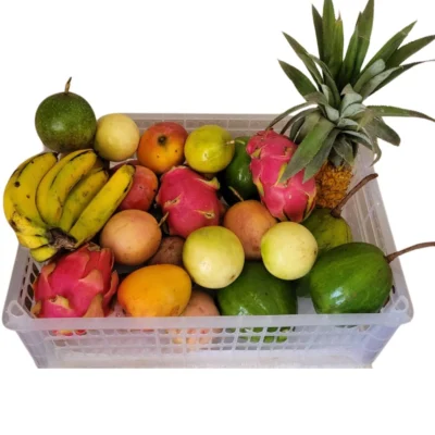 Discovery Local Fruits Basket
